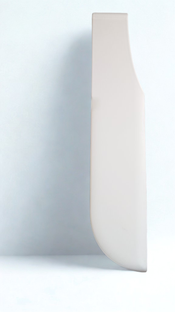 Fixed Rudder & Carbon Tiller